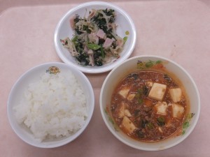 幼児食 ご飯 マーボー豆腐 もやしのナムル