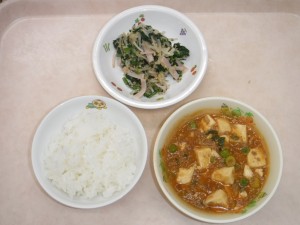 幼児食 ご飯 マーボー豆腐 もやしのナムル